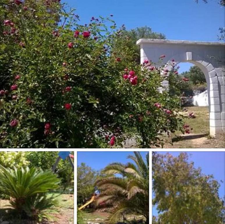 Trulli Aurasia Ostuni Exteriér fotografie