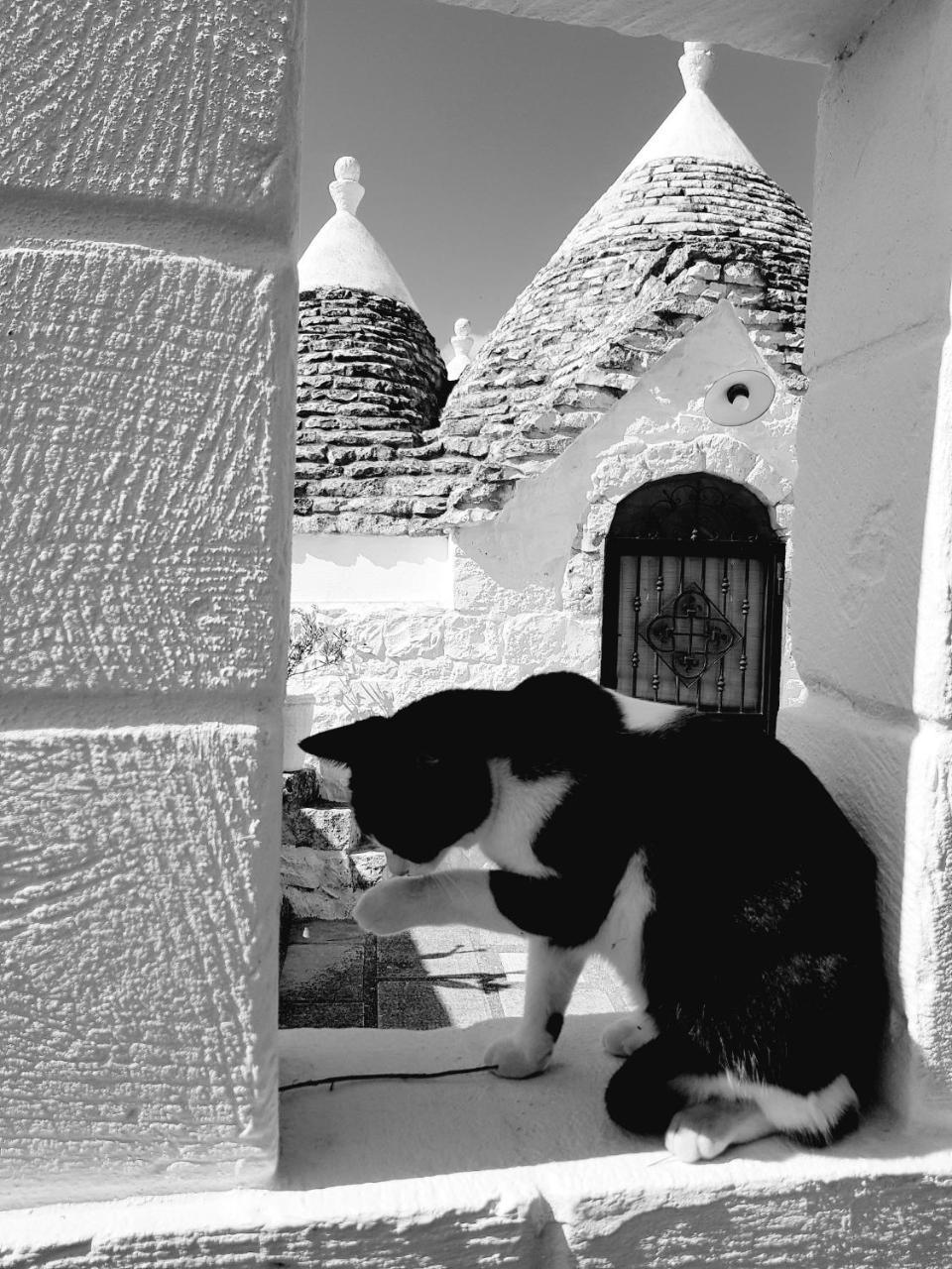 Trulli Aurasia Ostuni Exteriér fotografie