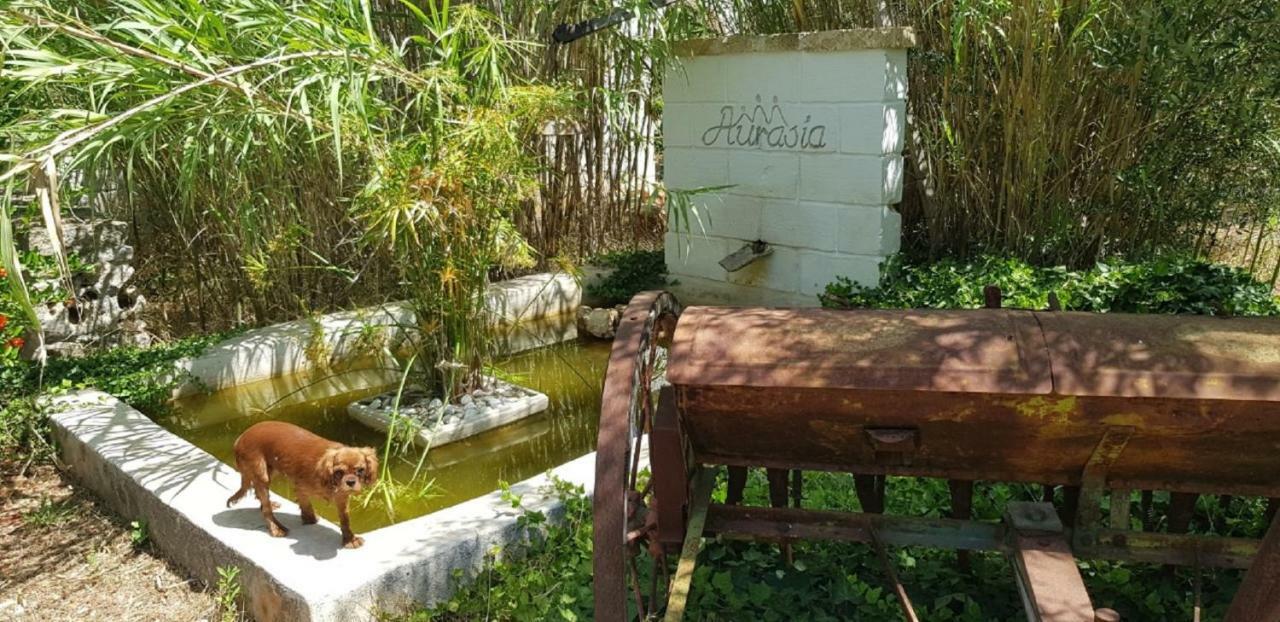 Trulli Aurasia Ostuni Exteriér fotografie